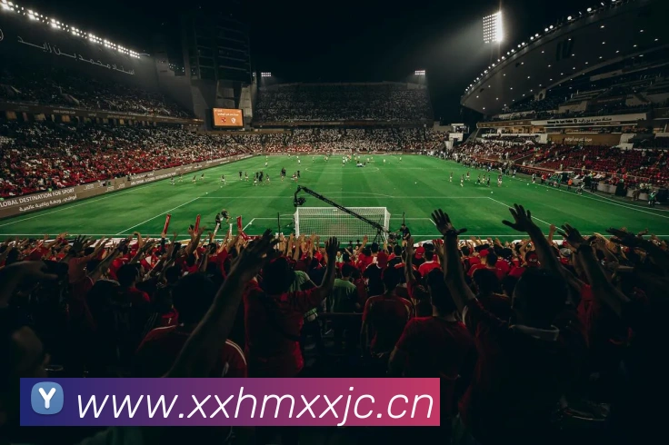 多媒体互动体验